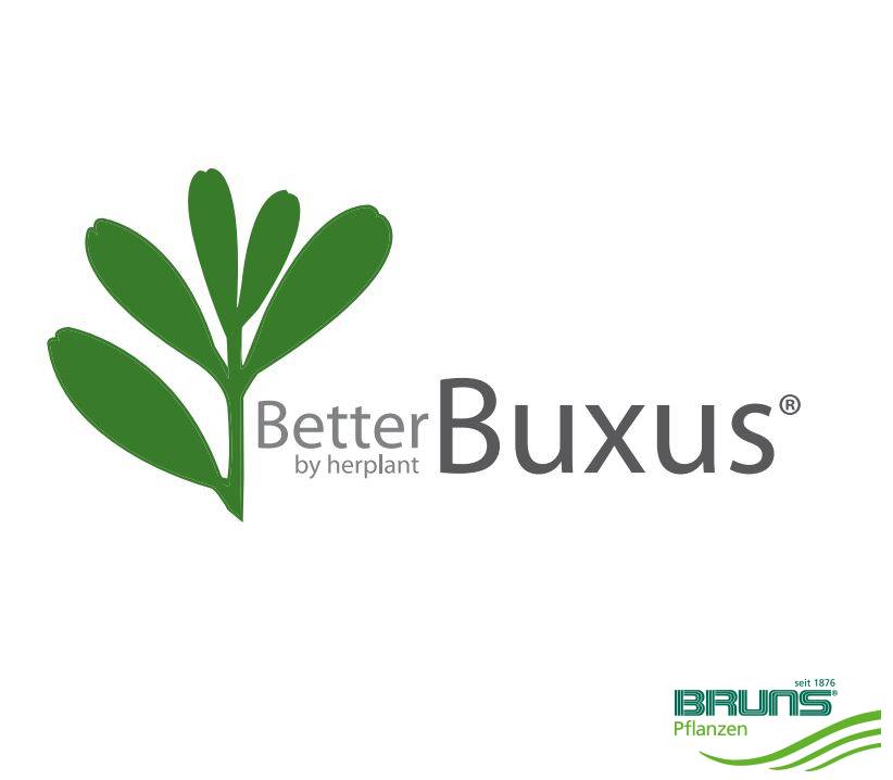 BetterBuxus®