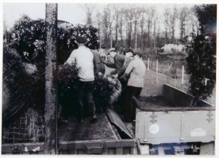 Anschlussgleis der Hausbaumschule 1958