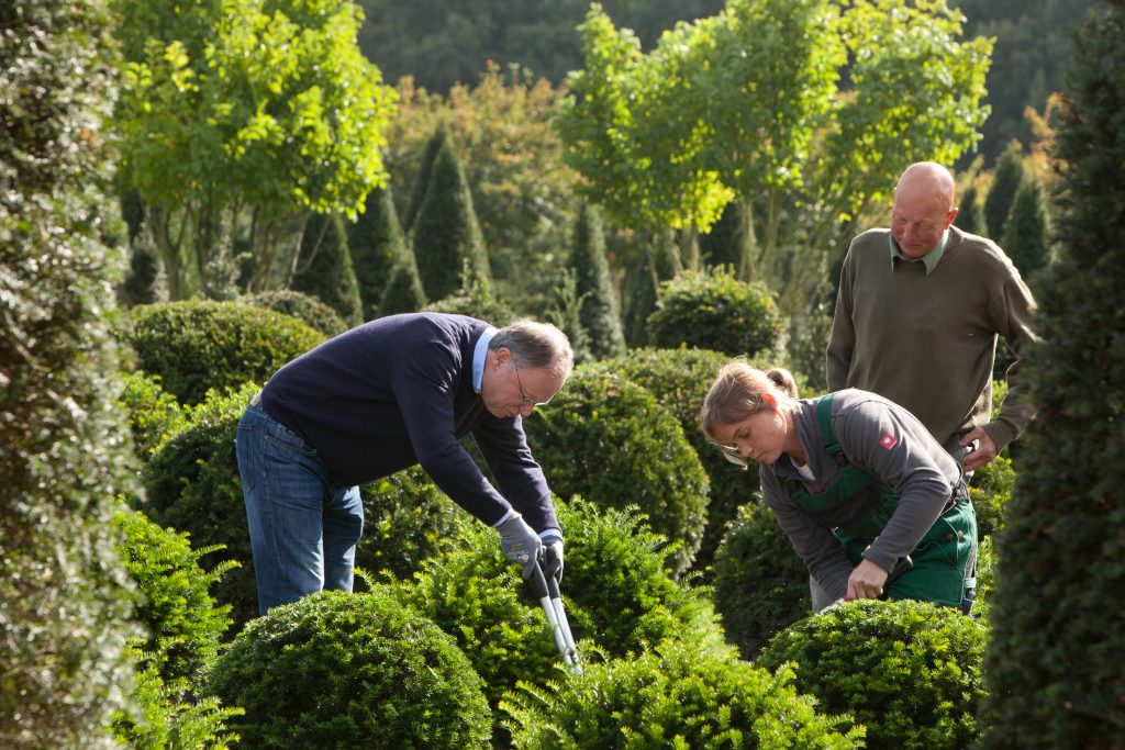 Niedersächsischer Regierungschef als Betriebspraktikant in der Baumschule Bruns