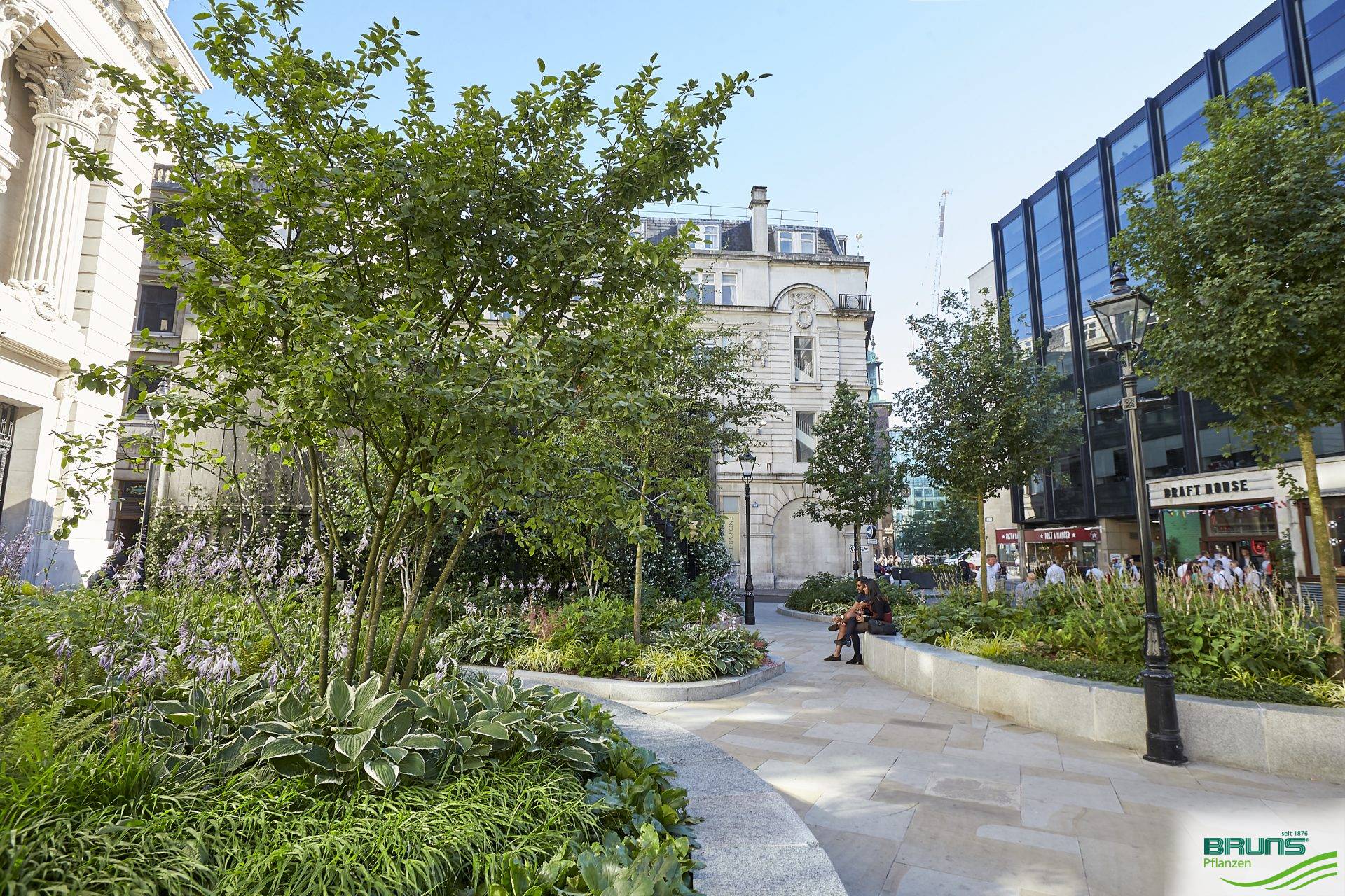 Zukunftsbäume Bruns Pflanzen