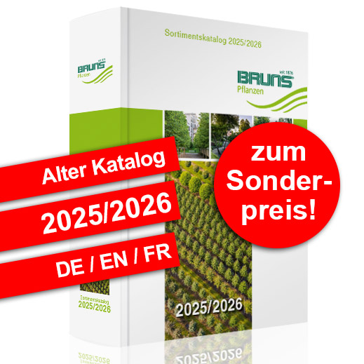 Alter Bruns Sortimentskatalog 2025/26 (DE/EN/FR) zum Sonderpreis!