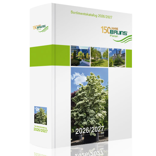 Bruns Sortimentskatalog 2026/27