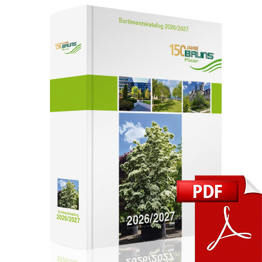 Bruns Sortimentskatalog 2026/27 als PDF zum Download (1.264 Seiten, ca. 122 MB)