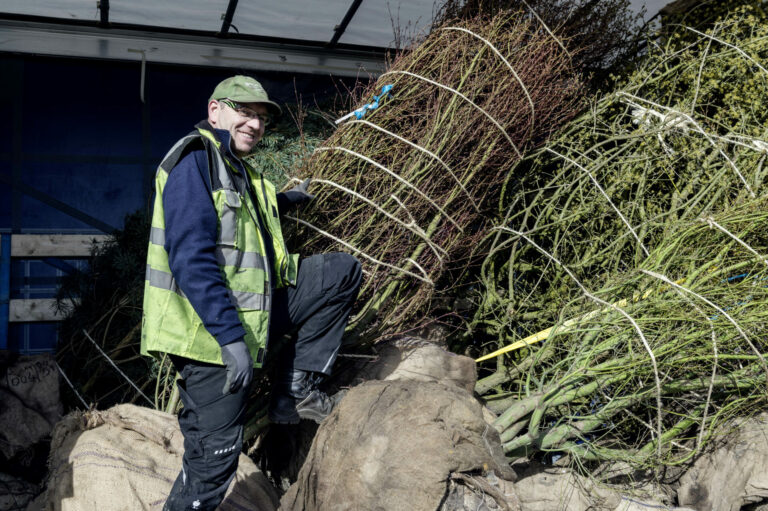 Bruns_04.15_144_5601