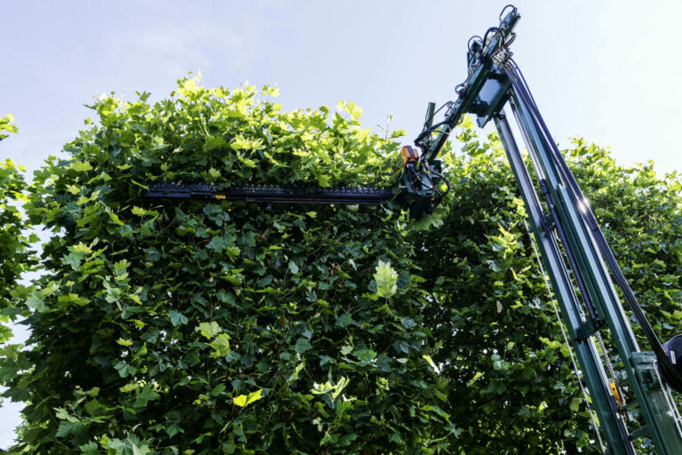 Bruns_08.15_334_1091