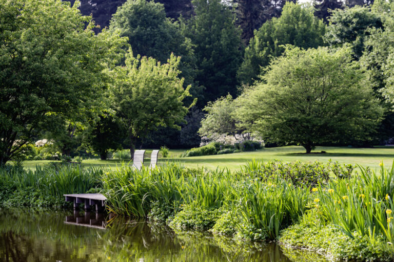 Rhododendronpark Gristede Bruns Pflanzen