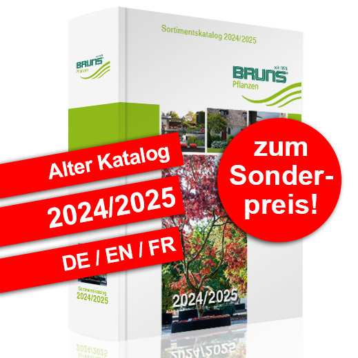 Old Bruns Catalogue of trees and shrubs 2024/25 (DE/EN/FR)