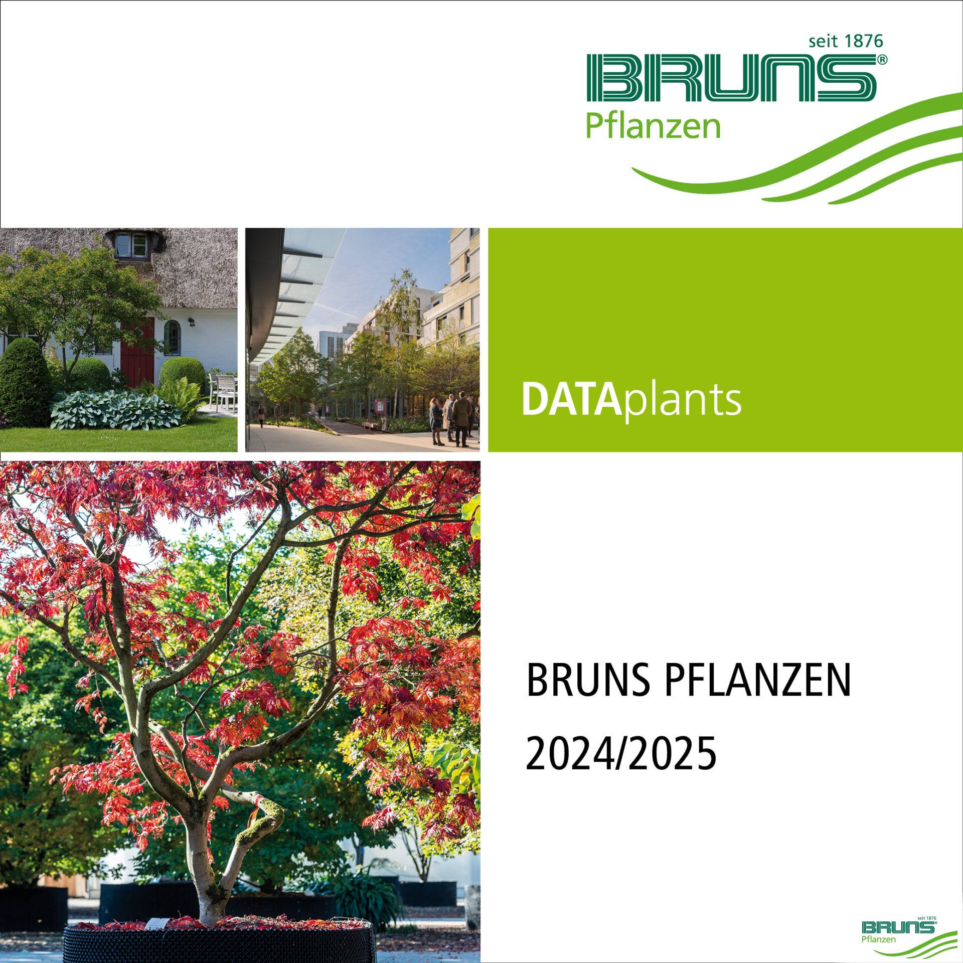 Windows-App: Bruns DATAplants 2024/25 zum Download als ISO-Installationsdatei (2,6 GB)